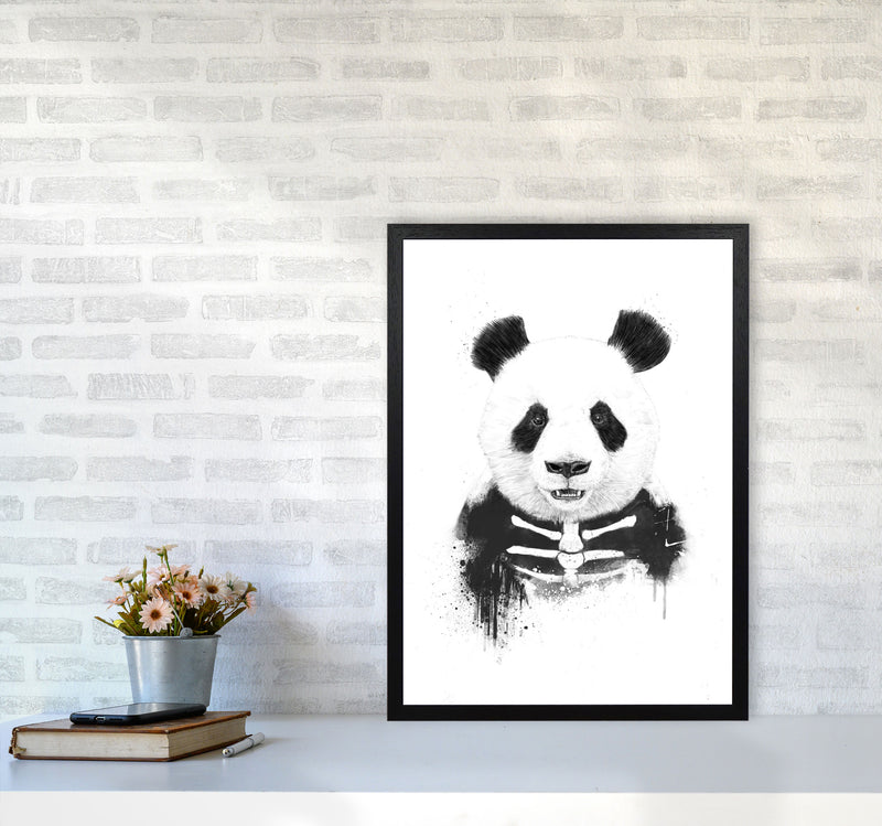 Zombie Panda Animal Art Print by Balaz Solti A2 White Frame