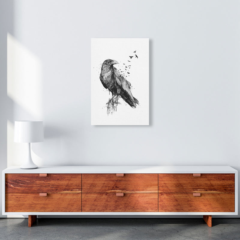 Born To Be Free Raven B&W Animal Art Print by Balaz Solti A2 Canvas