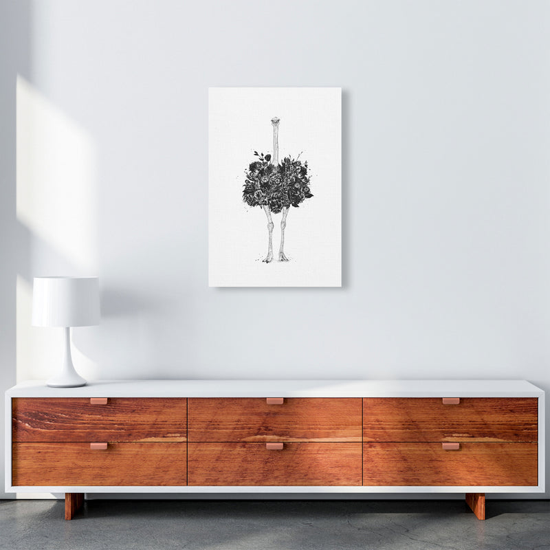 Floral Ostrich Animal Art Print by Balaz Solti A2 Canvas