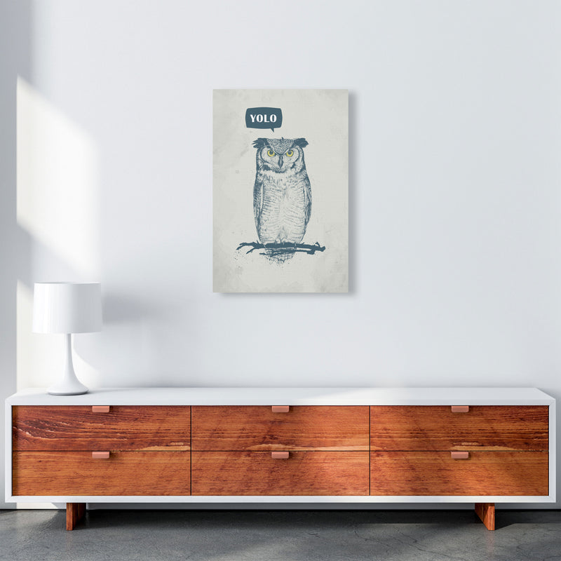Yolo Owl Animal Art Print by Balaz Solti A2 Canvas