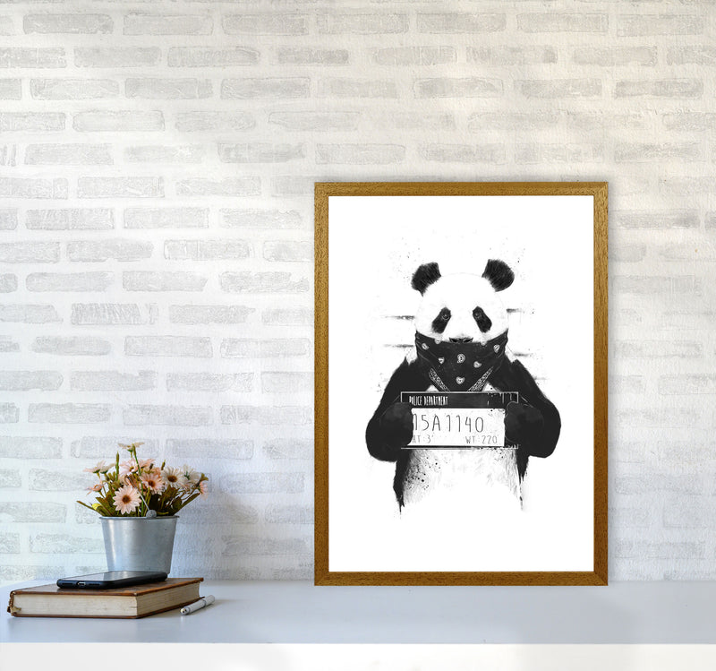 Bad Panda Animal Art Print by Balaz Solti A2 Print Only