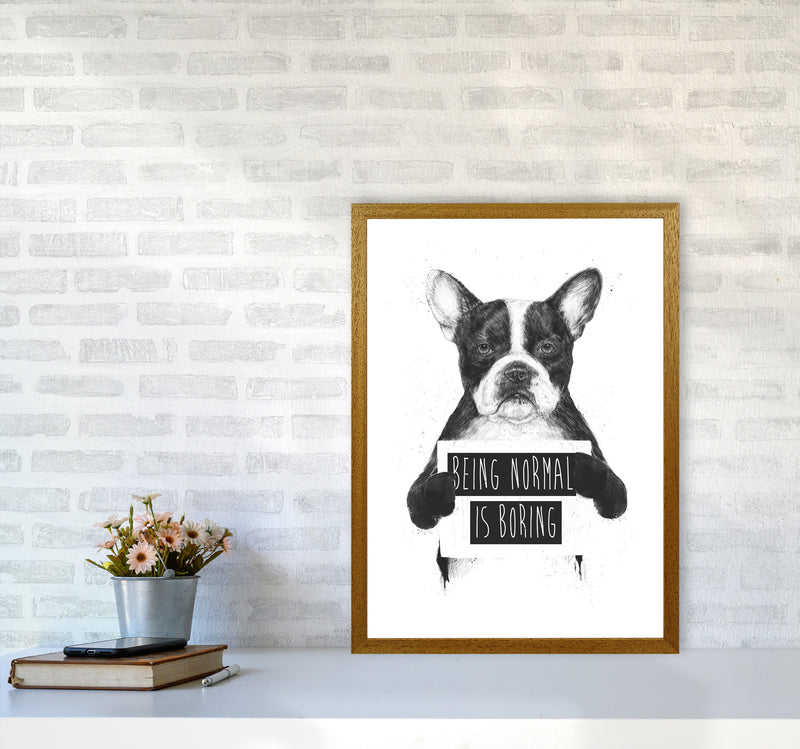 Being Normal Is Boring Animal Art Print by Balaz Solti A2 Print Only