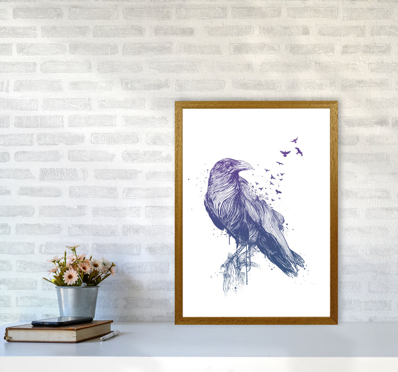 Born To Be Free Raven Animal Art Print by Balaz Solti A2 Print Only