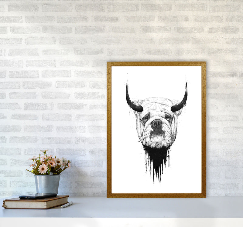 Bulldog Horns Animal Art Print by Balaz Solti A2 Print Only