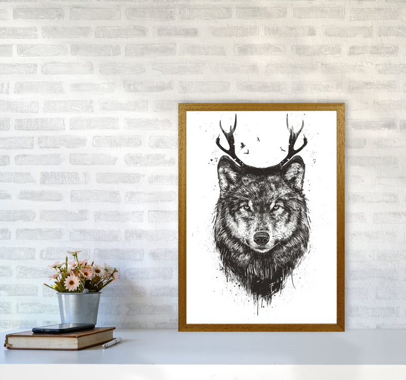 Deer Wolf B&W Animal Art Print by Balaz Solti A2 Print Only