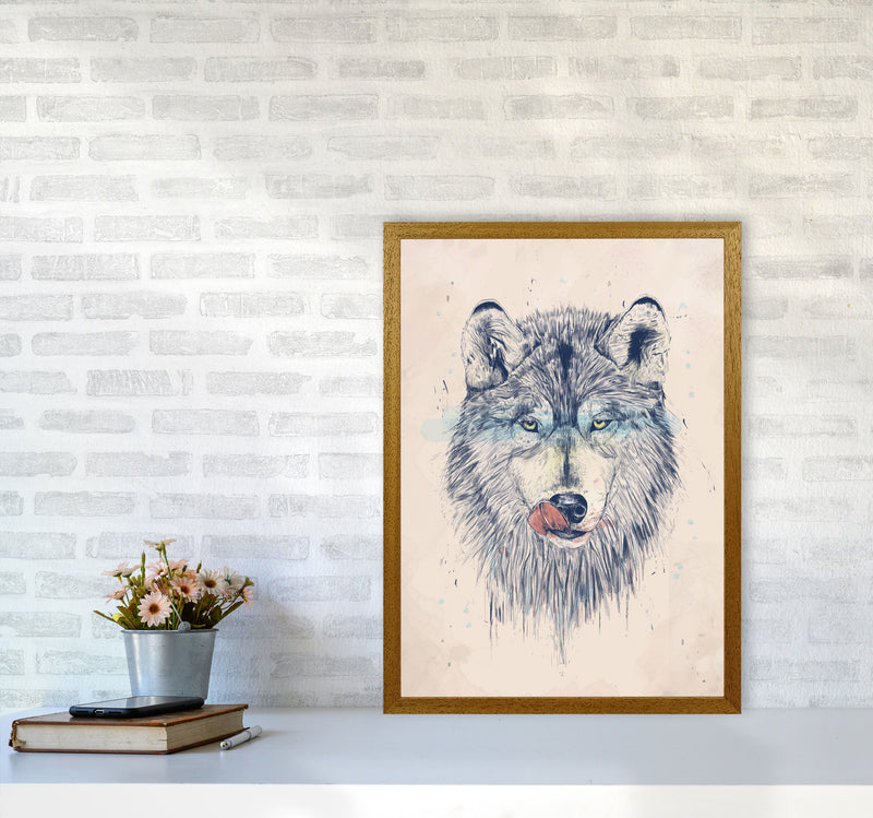 Dinner Time Wolf Animal Art Print by Balaz Solti A2 Print Only