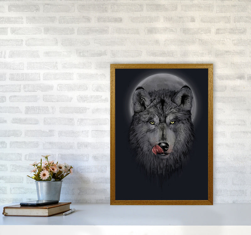 Dinner Time Wolf Night Animal Art Print by Balaz Solti A2 Print Only