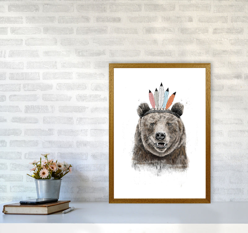 Festival Bear Animal Art Print by Balaz Solti A2 Print Only