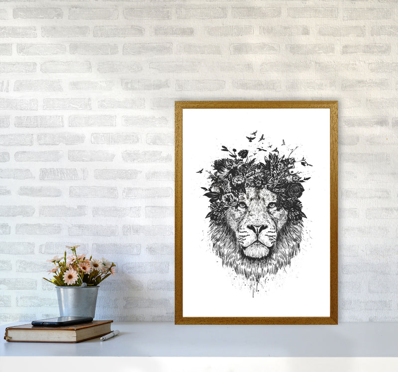 Floral Lion B&W Animal Art Print by Balaz Solti A2 Print Only