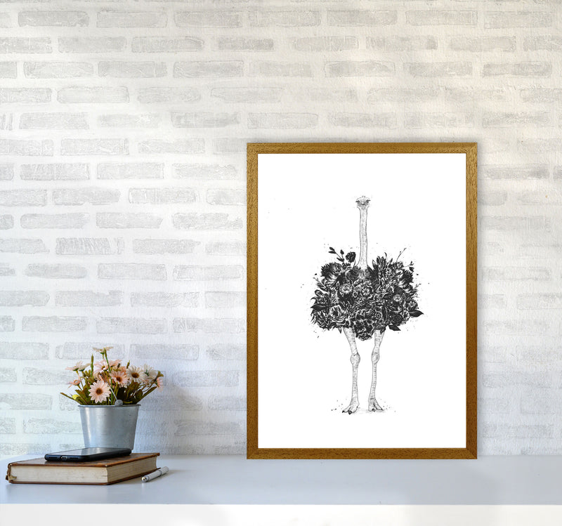 Floral Ostrich Animal Art Print by Balaz Solti A2 Print Only