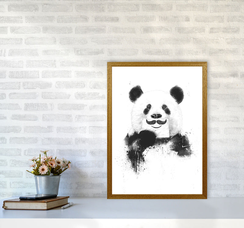Funny Panda Animal Art Print by Balaz Solti A2 Print Only