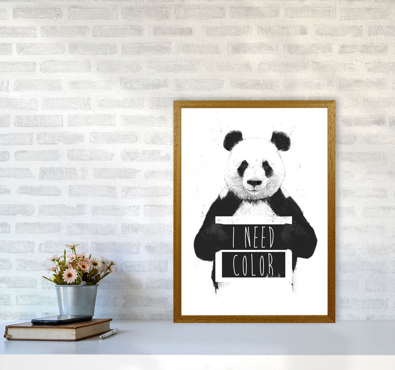 I Need Colour Panda Animal Art Print by Balaz Solti A2 Print Only
