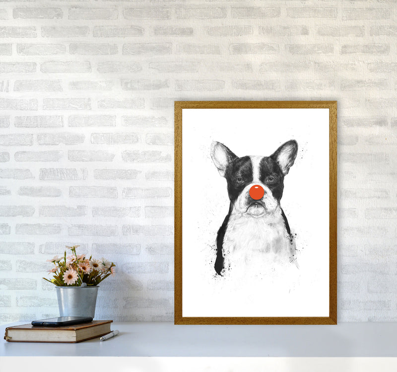 I'm Not Your Clown Bulldog Animal Art Print by Balaz Solti A2 Print Only