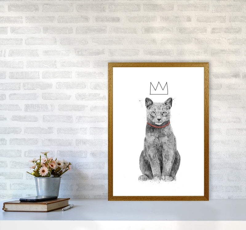 King Of Everything Animal Art Print by Balaz Solti A2 Print Only