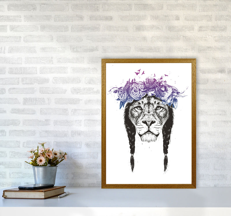 King Of Lions Animal Art Print by Balaz Solti A2 Print Only
