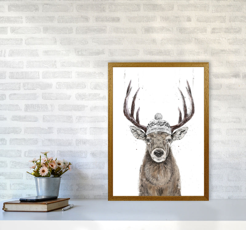 Lets Go Outside Reindeer Animal Art Print by Balaz Solti A2 Print Only
