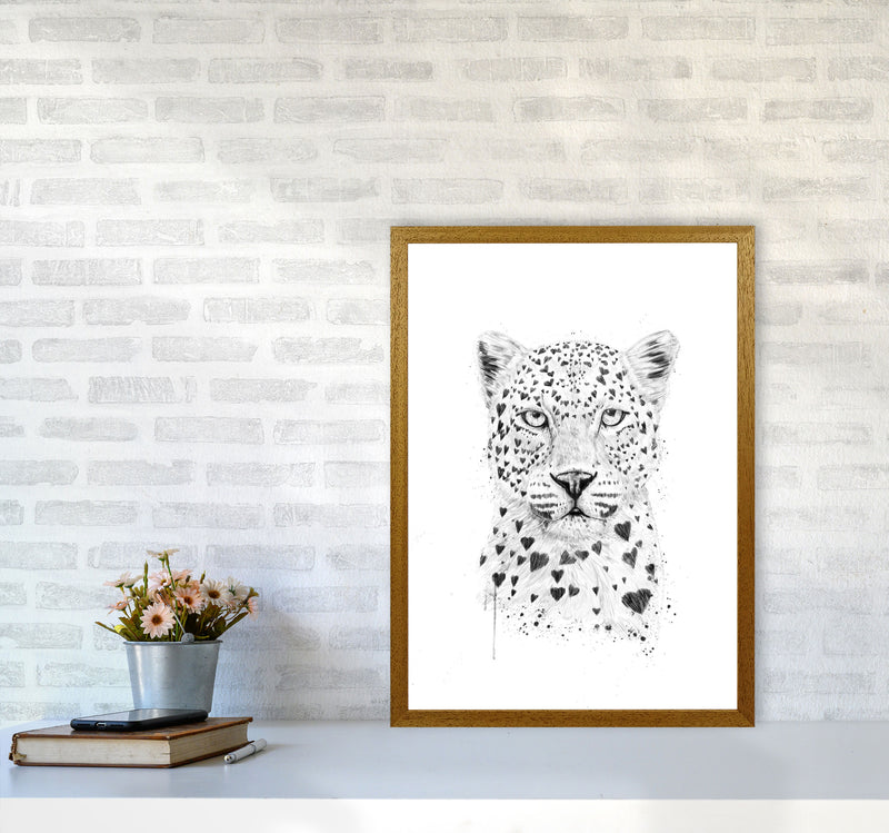 Lovely Leopard Animal Art Print by Balaz Solti A2 Print Only