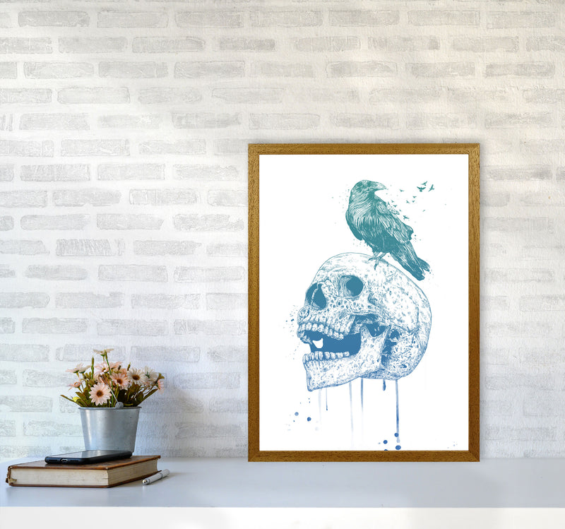 Skull & Raven Colour Animal Art Print by Balaz Solti A2 Print Only