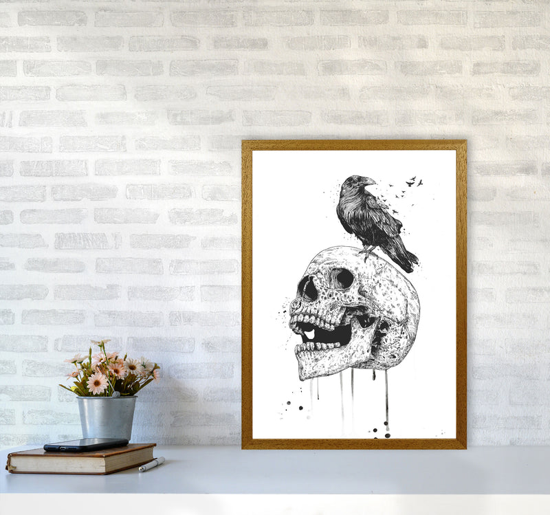 Skull & Raven B&W Animal Art Print by Balaz Solti A2 Print Only