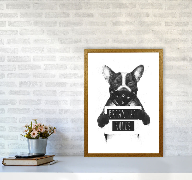 Rebel Bulldog Animal Art Print by Balaz Solti A2 Print Only