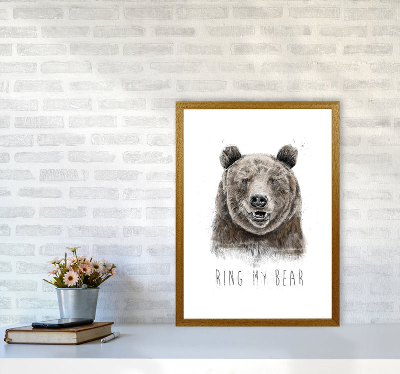 Ring My Bear Animal Art Print by Balaz Solti A2 Print Only