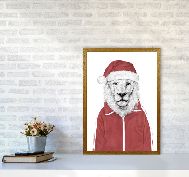 Santa Lion Animal Art Print by Balaz Solti A2 Print Only
