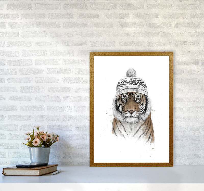 Siberian Tiger Animal Art Print by Balaz Solti A2 Print Only