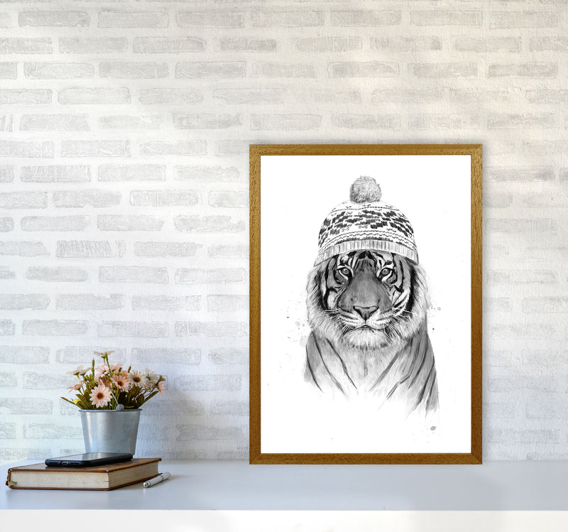 Siberian Tiger B&W Animal Art Print by Balaz Solti A2 Print Only