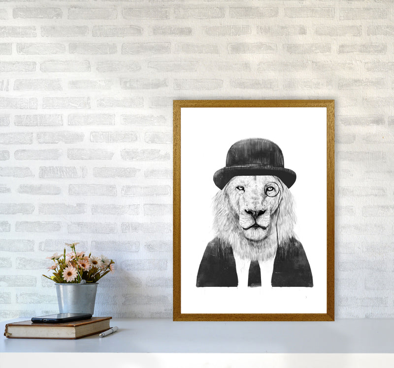 Sir Lion Animal Art Print by Balaz Solti A2 Print Only