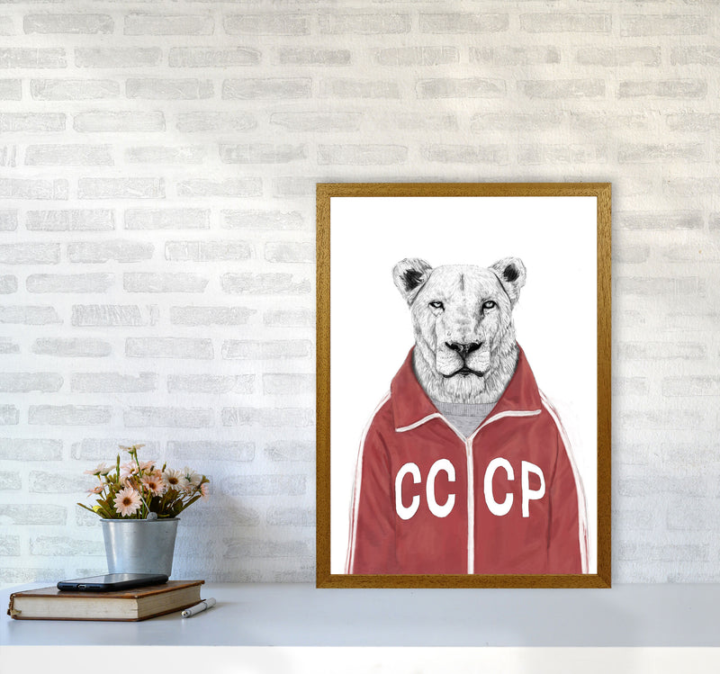 Soviet Lion Animal Art Print by Balaz Solti A2 Print Only