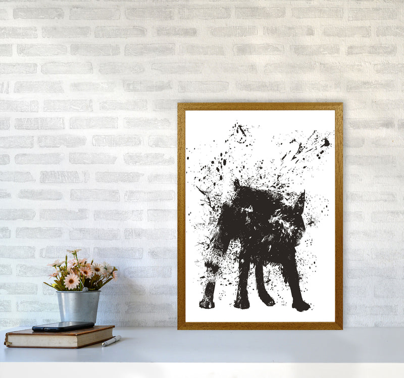 Wet Dog Animal Art Print by Balaz Solti A2 Print Only