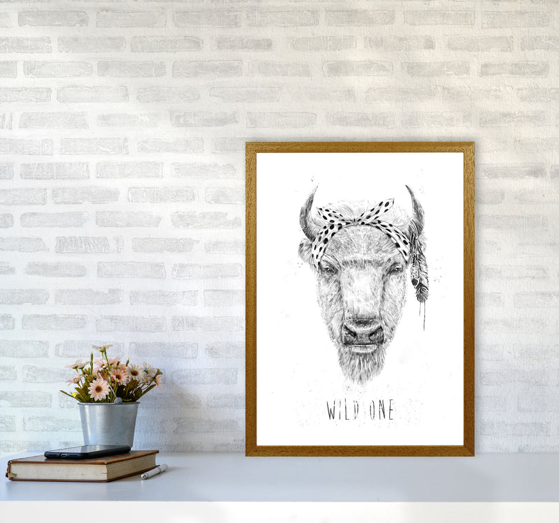 Wild One Buffalo Animal Art Print by Balaz Solti A2 Print Only