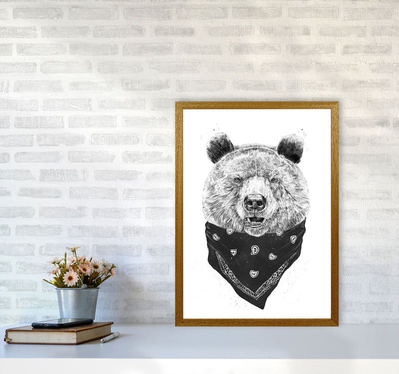 Wild Bear Animal Art Print by Balaz Solti A2 Print Only