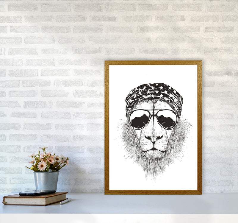 Wild Lion B&W Animal Art Print by Balaz Solti A2 Print Only