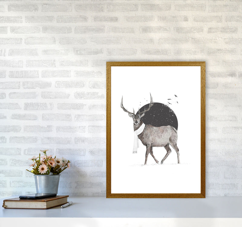 Winter Is All Around Stag Colour Animal Art Print by Balaz Solti A2 Print Only