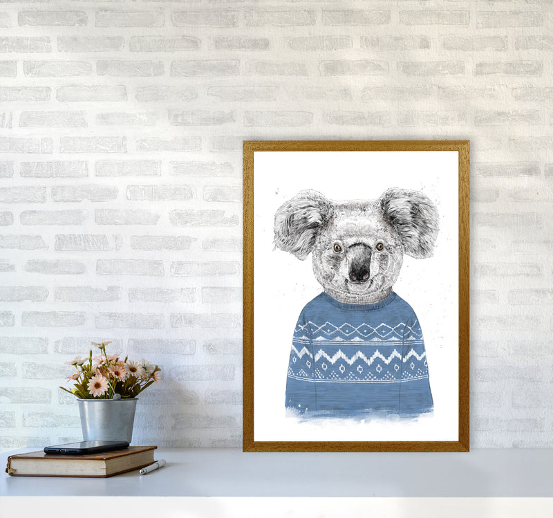 Winter Koala Blue Animal Art Print by Balaz Solti A2 Print Only