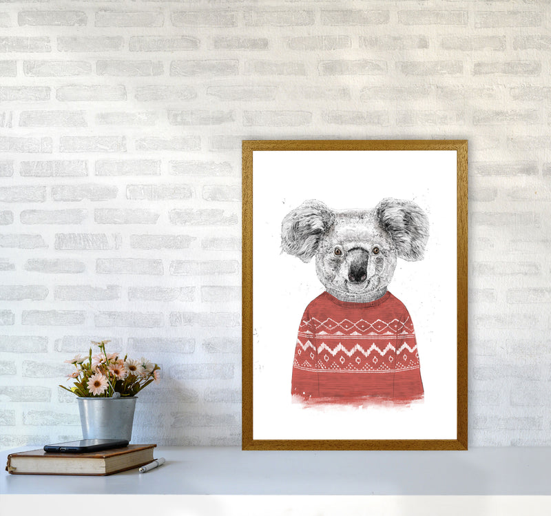 Winter Koala Red Animal Art Print by Balaz Solti A2 Print Only