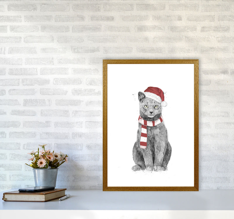 Christmas Cat Animal Art Print by Balaz Solti A2 Print Only