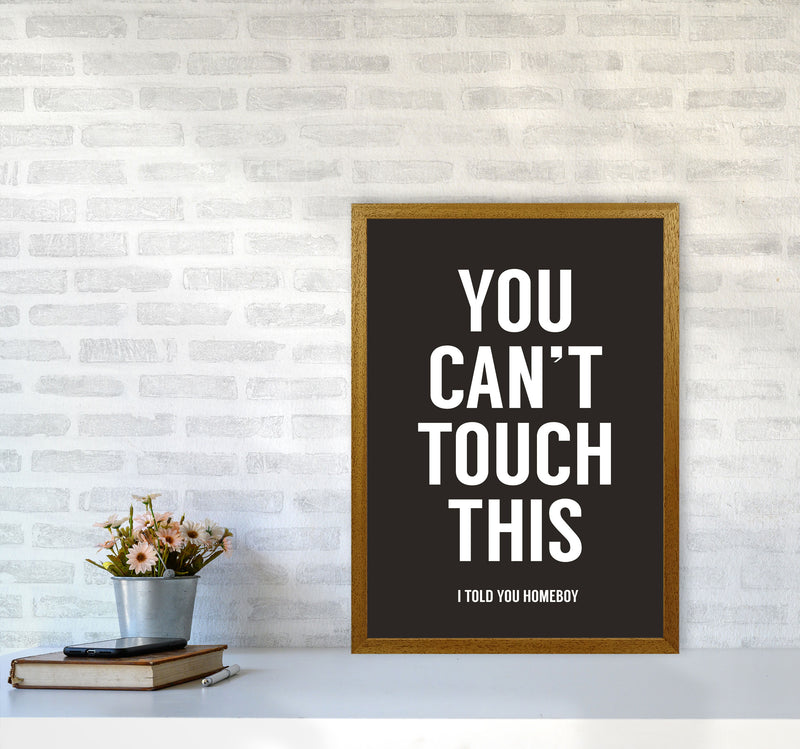 Can't Touch This Quote Art Print by Balaz Solti A2 Print Only