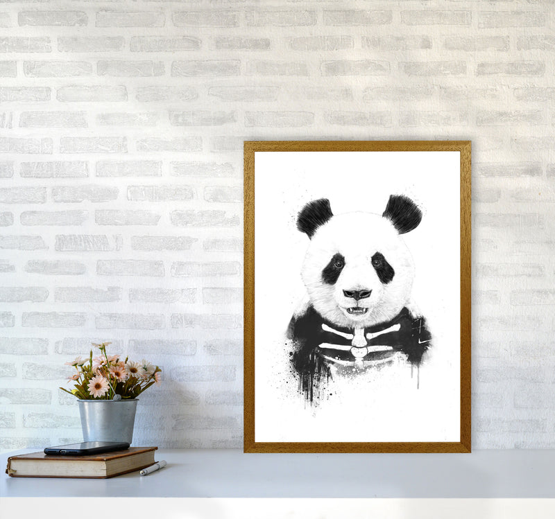Zombie Panda Animal Art Print by Balaz Solti A2 Print Only