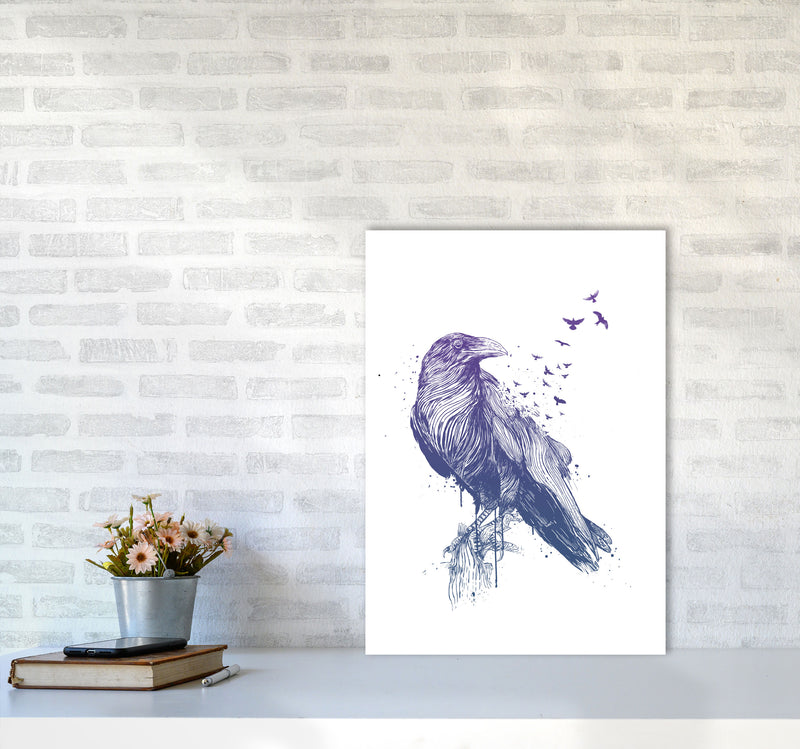 Born To Be Free Raven Animal Art Print by Balaz Solti A2 Black Frame