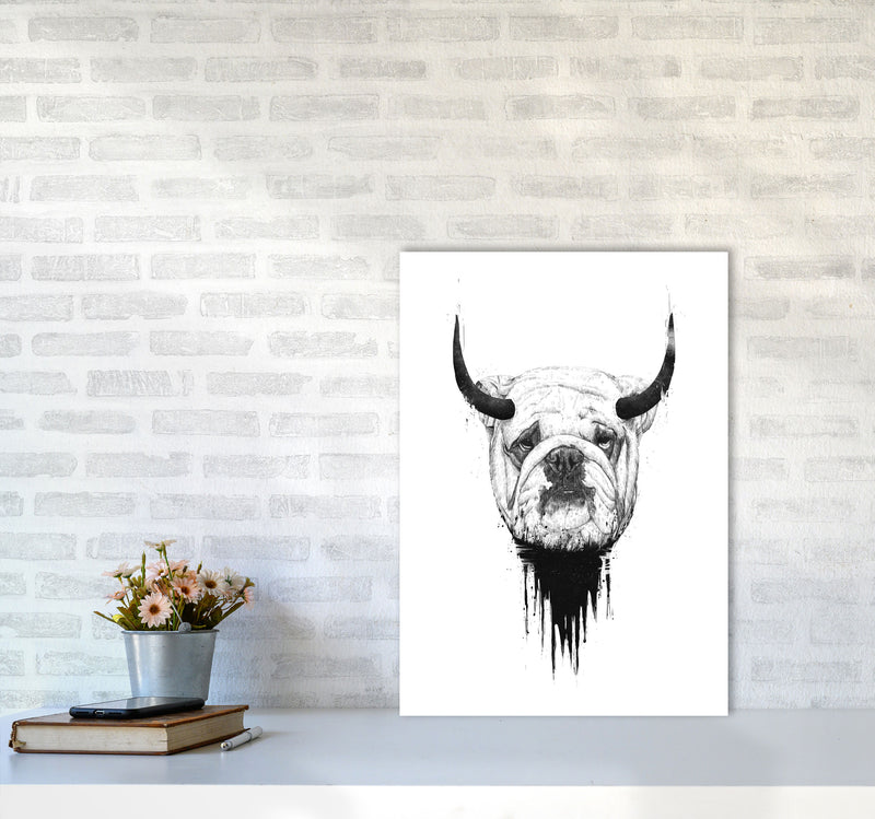 Bulldog Horns Animal Art Print by Balaz Solti A2 Black Frame