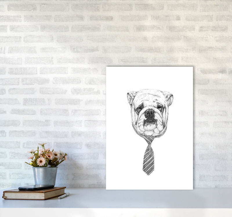 Cool Bulldog Animal Art Print by Balaz Solti A2 Black Frame