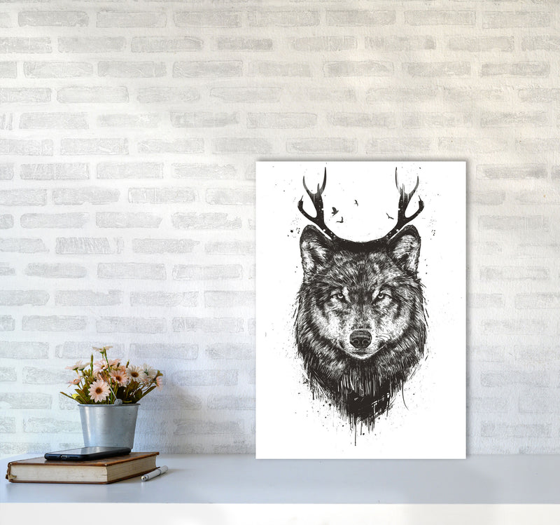 Deer Wolf B&W Animal Art Print by Balaz Solti A2 Black Frame