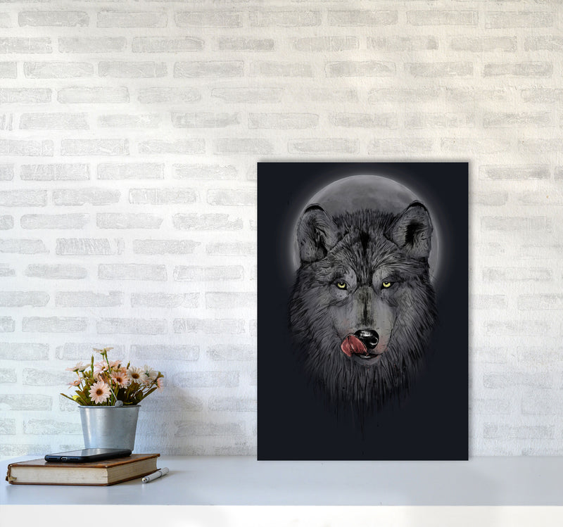 Dinner Time Wolf Night Animal Art Print by Balaz Solti A2 Black Frame
