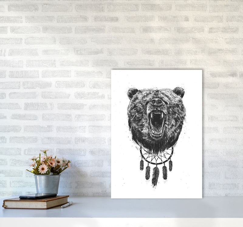Don't Wake The Bear Animal Art Print by Balaz Solti A2 Black Frame