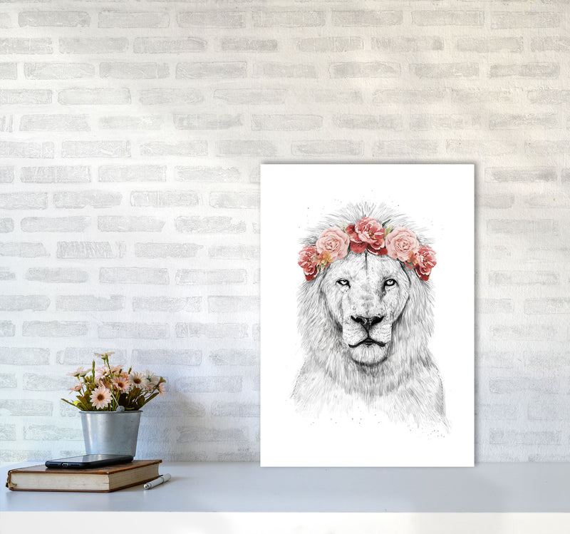 Festival Floral Lion Animal Art Print by Balaz Solti A2 Black Frame