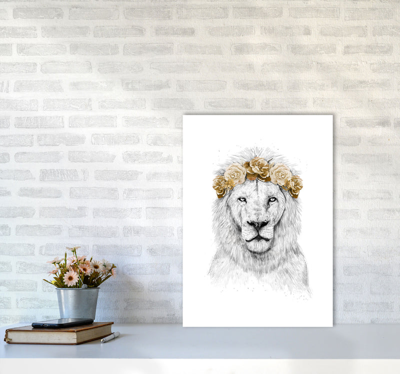Festival Floral Lion II Animal Art Print by Balaz Solti A2 Black Frame