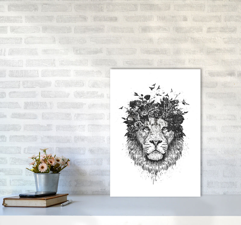 Floral Lion B&W Animal Art Print by Balaz Solti A2 Black Frame