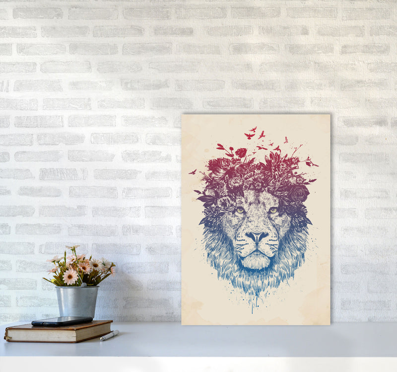 Floral Lion Animal Art Print by Balaz Solti A2 Black Frame